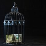 AI risk bill