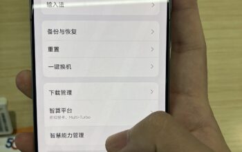 vivo X300 FE color variants