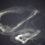 Space Jellyfish Rocket Launch