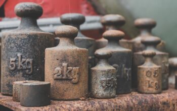 validated open-weight models
